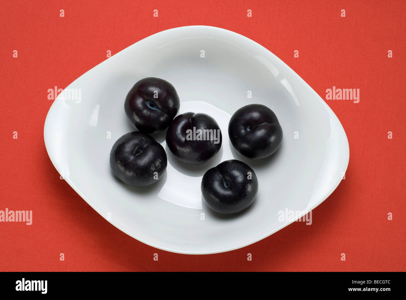 Black Amber Pflaumen (Prunus domestica) in a white bowl Stock Photo