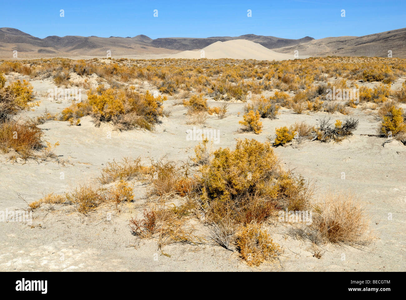 Desert landscape with Sand Mountain near Fallon, Nevada, USA Stock Photo