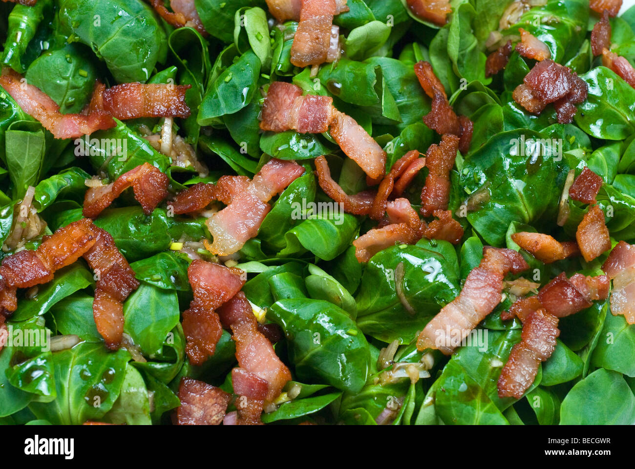 Field salad (Valerianella locusta) with roasted bacon strips Stock Photo