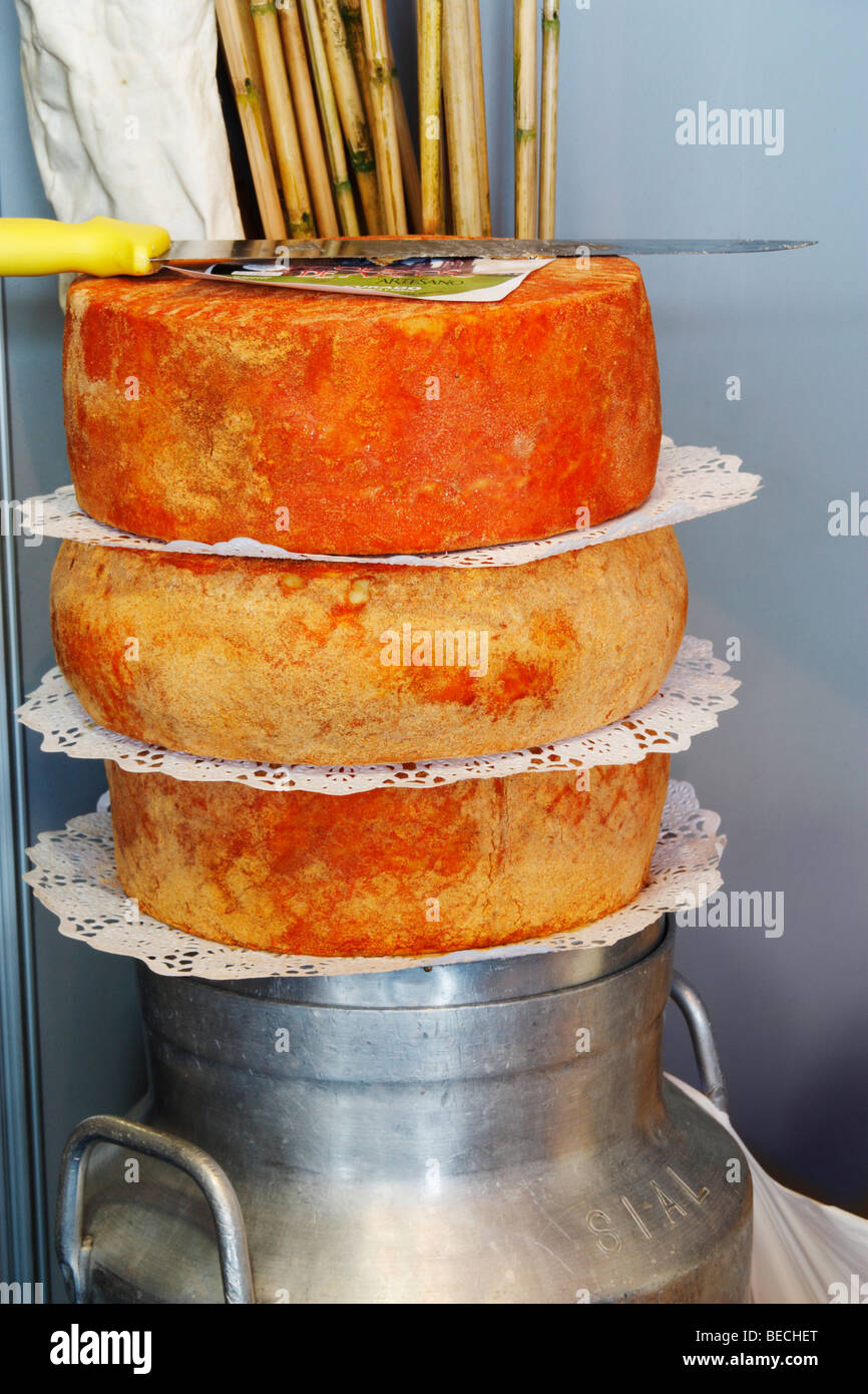Cheeses on milk churn in Arucas on Gran Canaria in the Canary islands Stock Photo