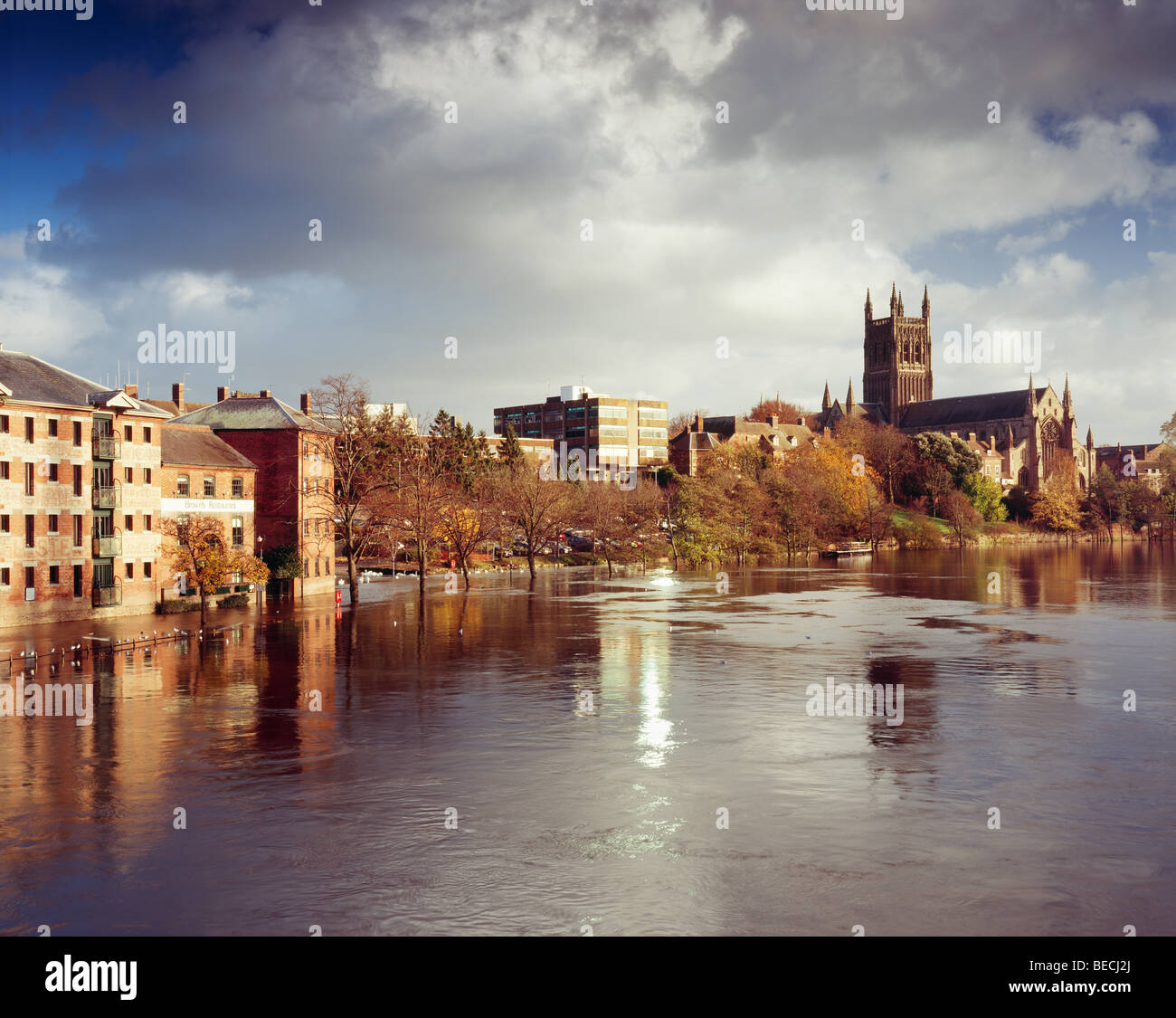 Worcester Cathedral and the River Severn in flood, Worcester, England Stock Photo