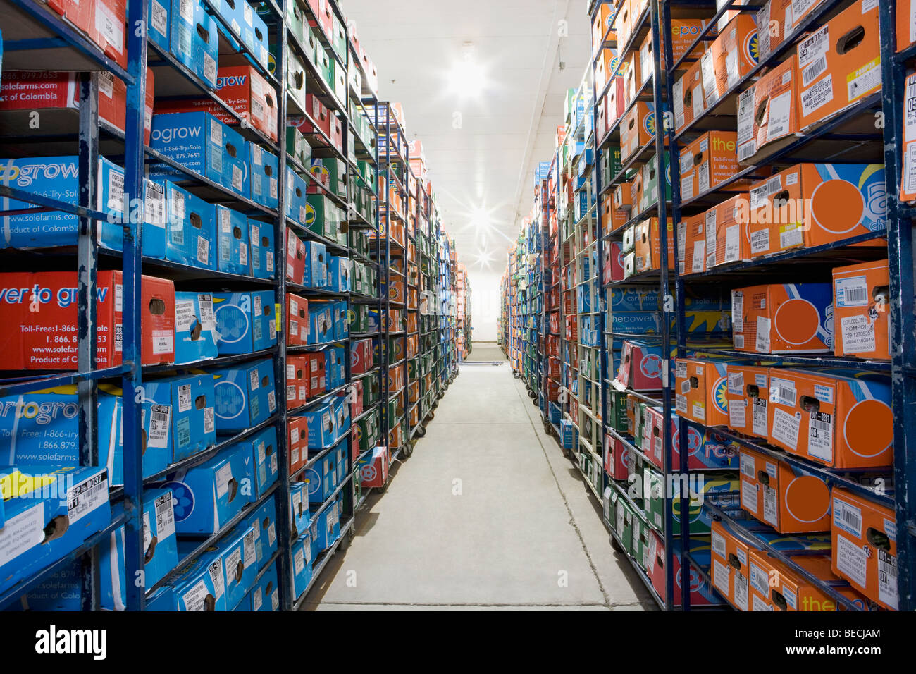 Flower boxes in a warehouse, Miami, Florida, USA Stock Photo Alamy