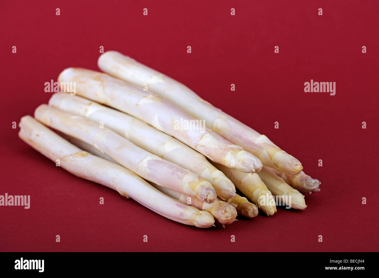 Asparagus (Asparagus officinalis) Stock Photo