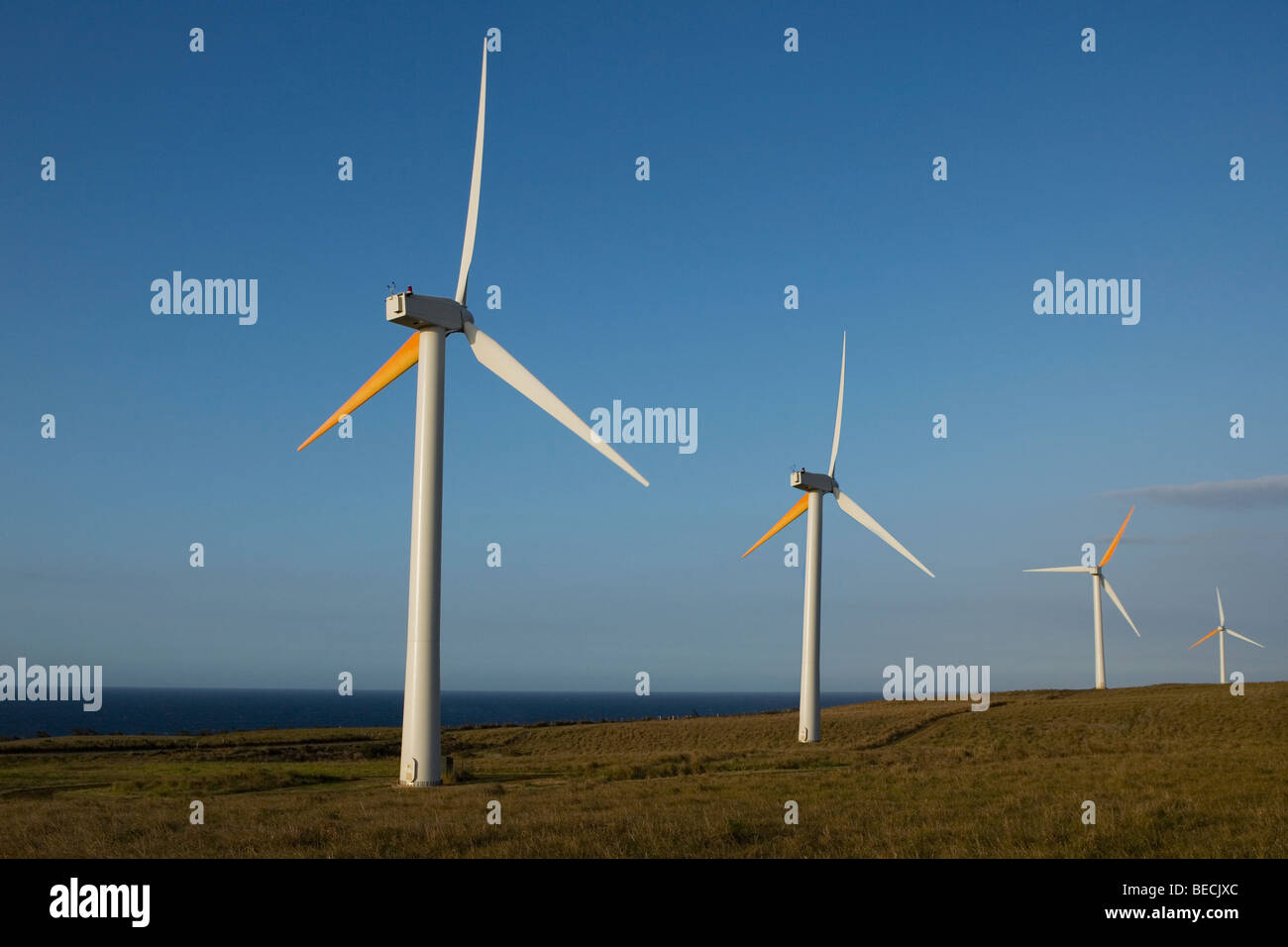 Nui wind project hires stock photography and images Alamy