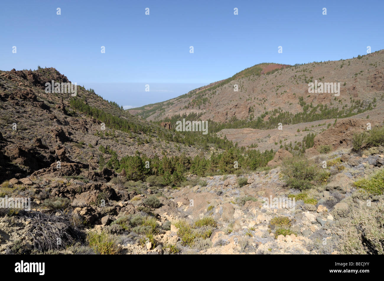 Mountains in Teide National Park, Tenerife Stock Photo