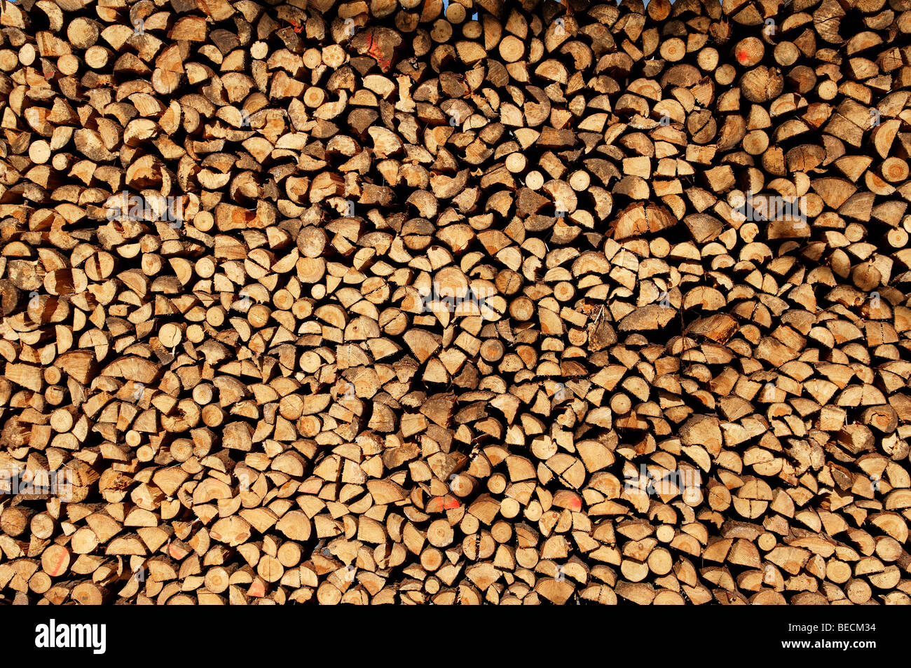 Piled up fire wood, Buch, Nuremberg, Franconia, Bavaria, Germany, Stock Photo