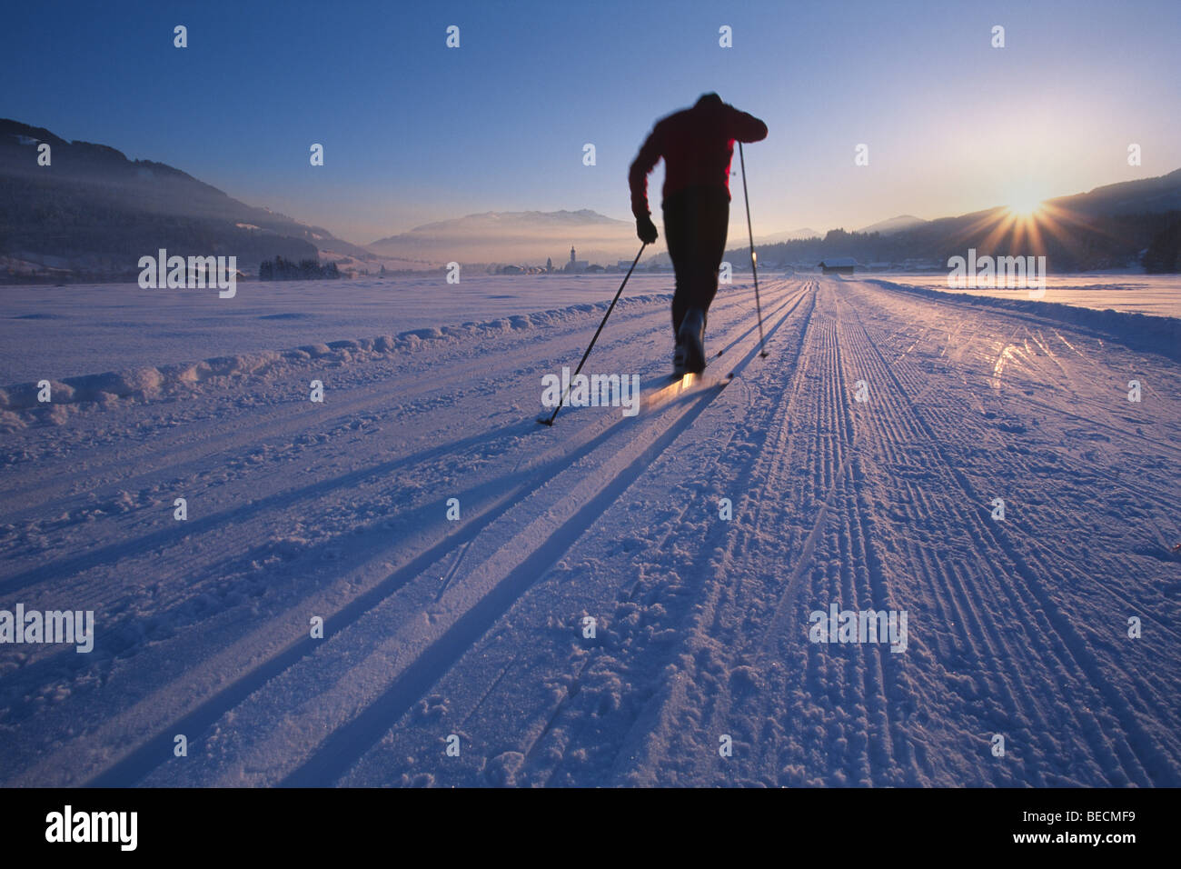 Cross-country skier, Oberndorf, Kitzbuehl Alps, North Tyrol, Austria, Europe Stock Photo