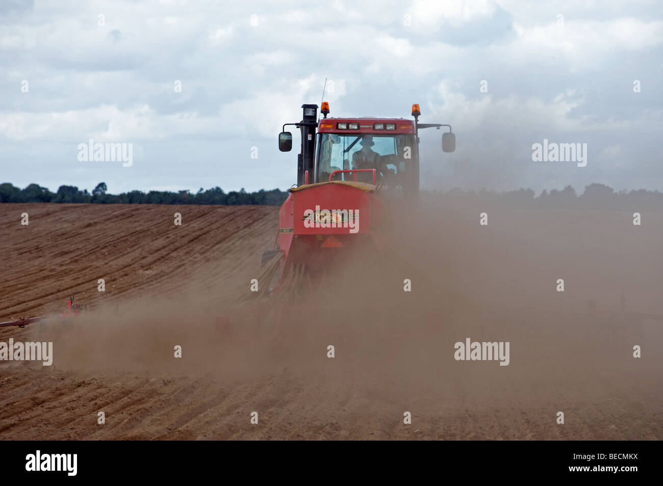 After one of the driest September's on record (2009) farmland in Suffolk became like a desert, Sutton, Suffolk, UK. Stock Photo