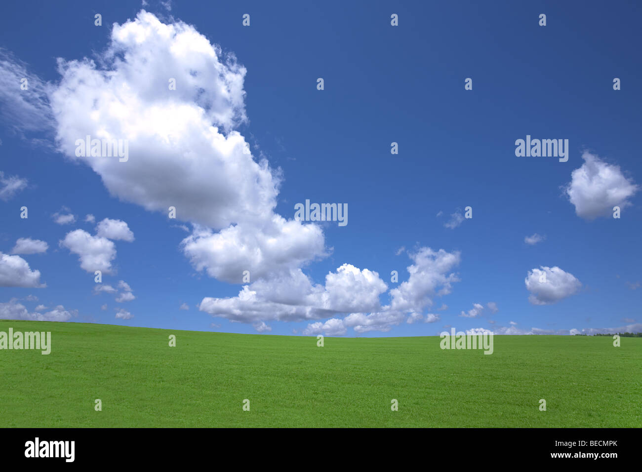 Green field and cloud Stock Photo - Alamy