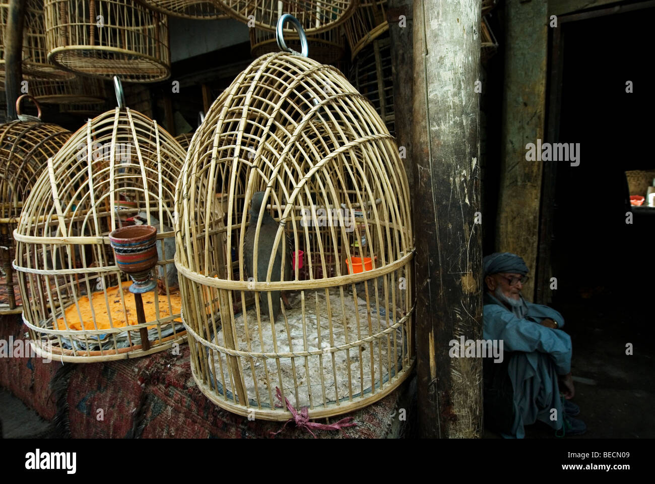 Kabul, Afghanistan. Bird market. Cages hanging up and man sitting on the ground. Stock Photo