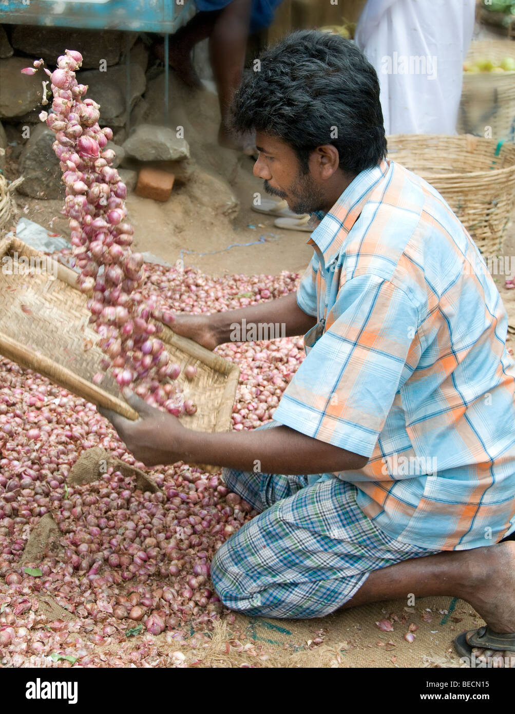 Man throwing onions in the air to clean them on  Bazaar Road, Mattancherry, Cochin, Kerala, India Stock Photo