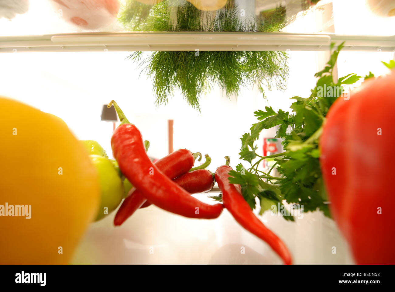 Vegetables in a fridge seen from inside Stock Photo Alamy
