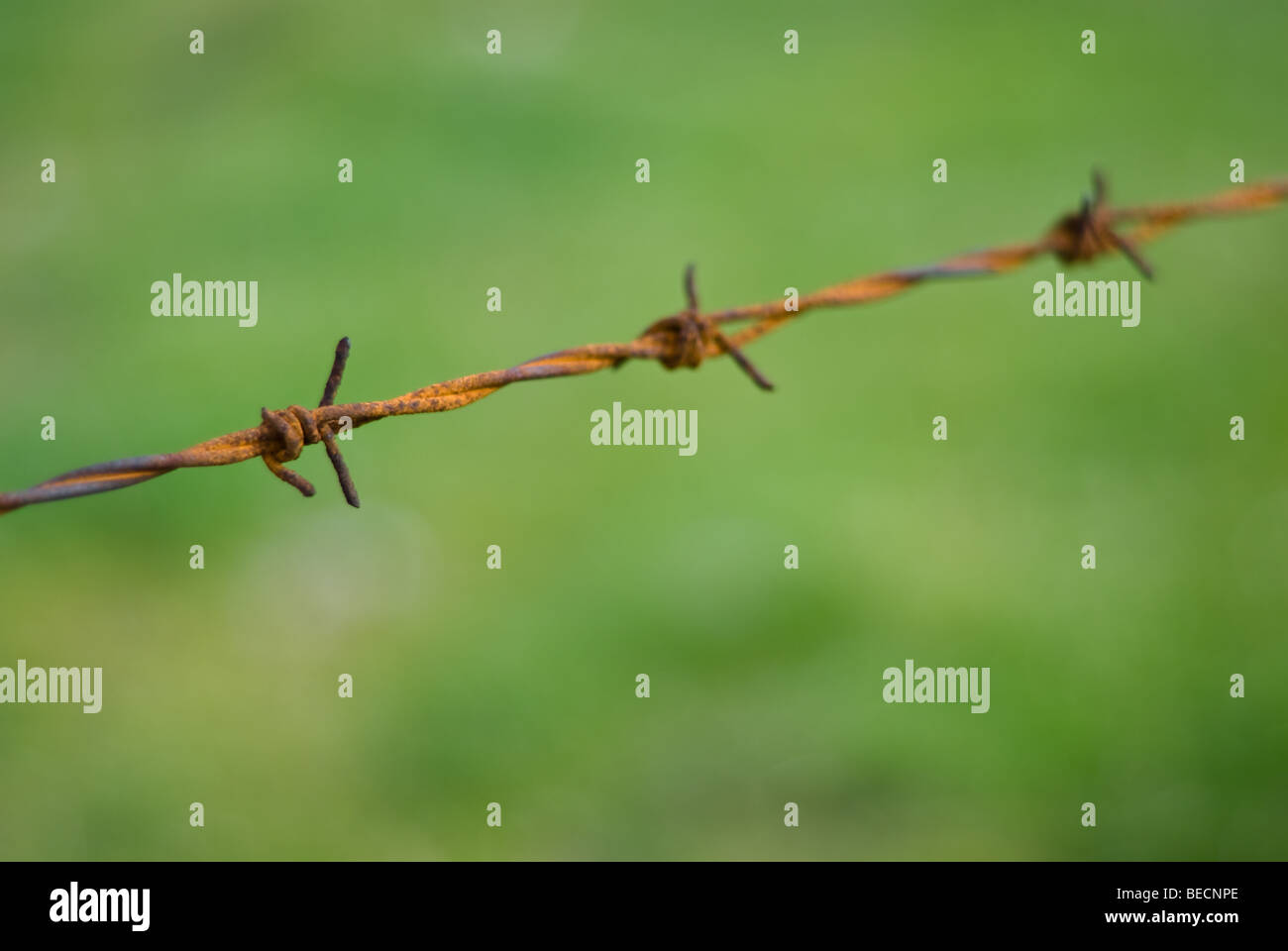Barb wire rusty oxidised hires stock photography and images Alamy