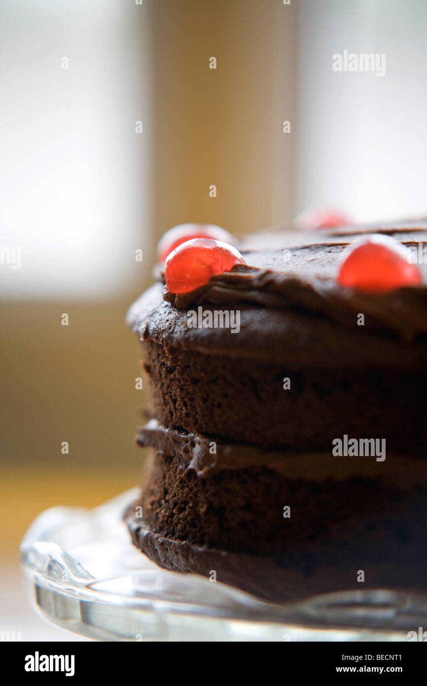 Cherry and chocolate sponge cake with chocolate icing on a cake stand