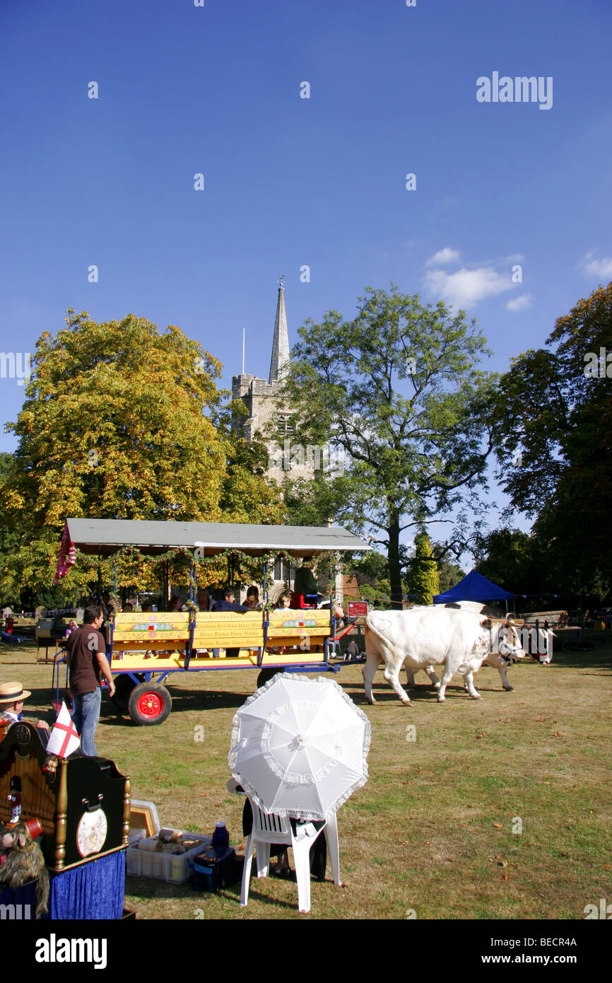 village church fete, Aldenham, Hertfordshire, England Stock Photo Alamy