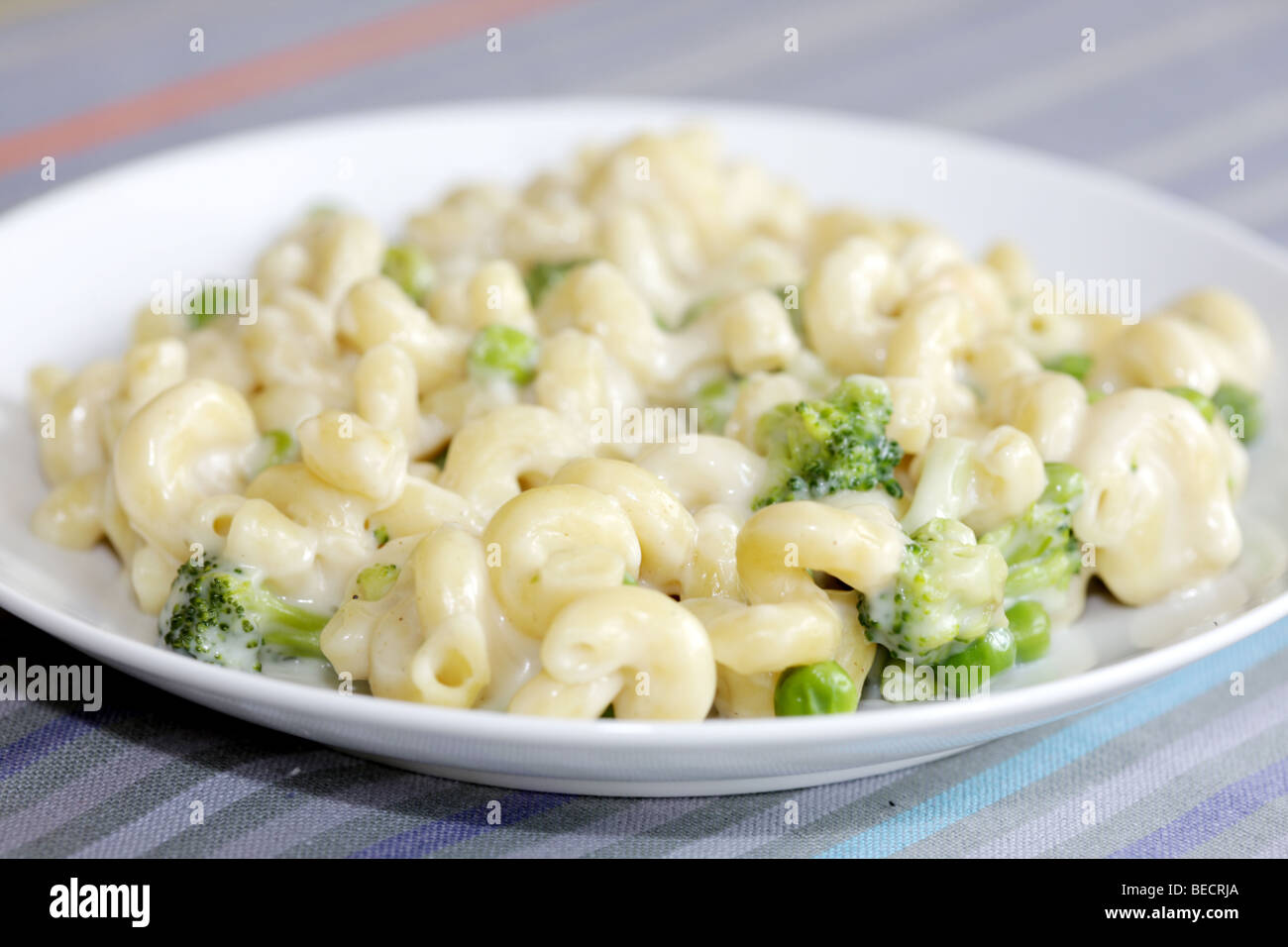 Cheese And Broccoli Pasta Stock Photo Alamy