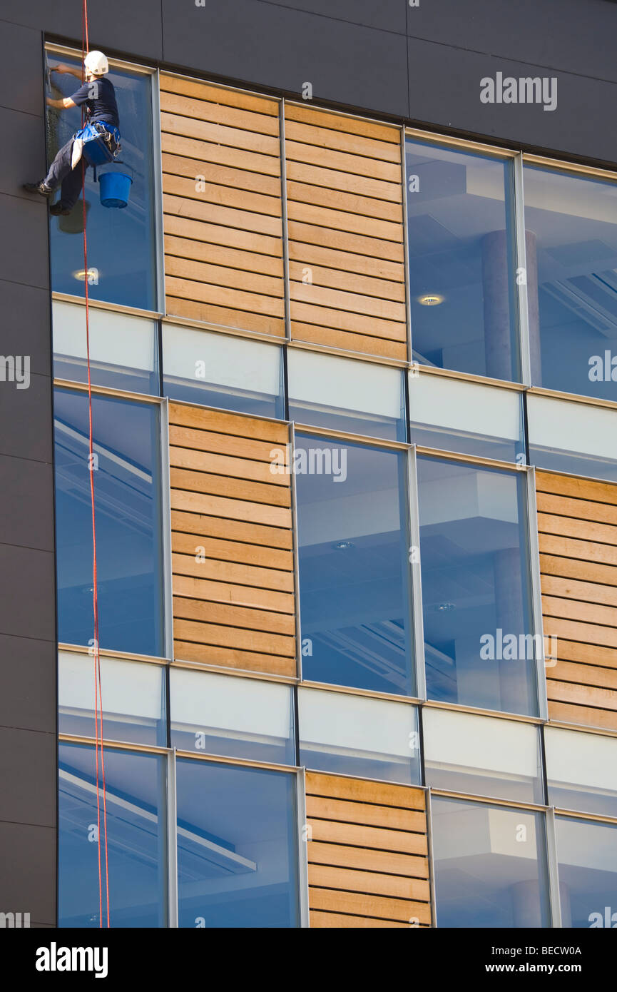 Window cleaner using industrial rope access techniques abseiling down