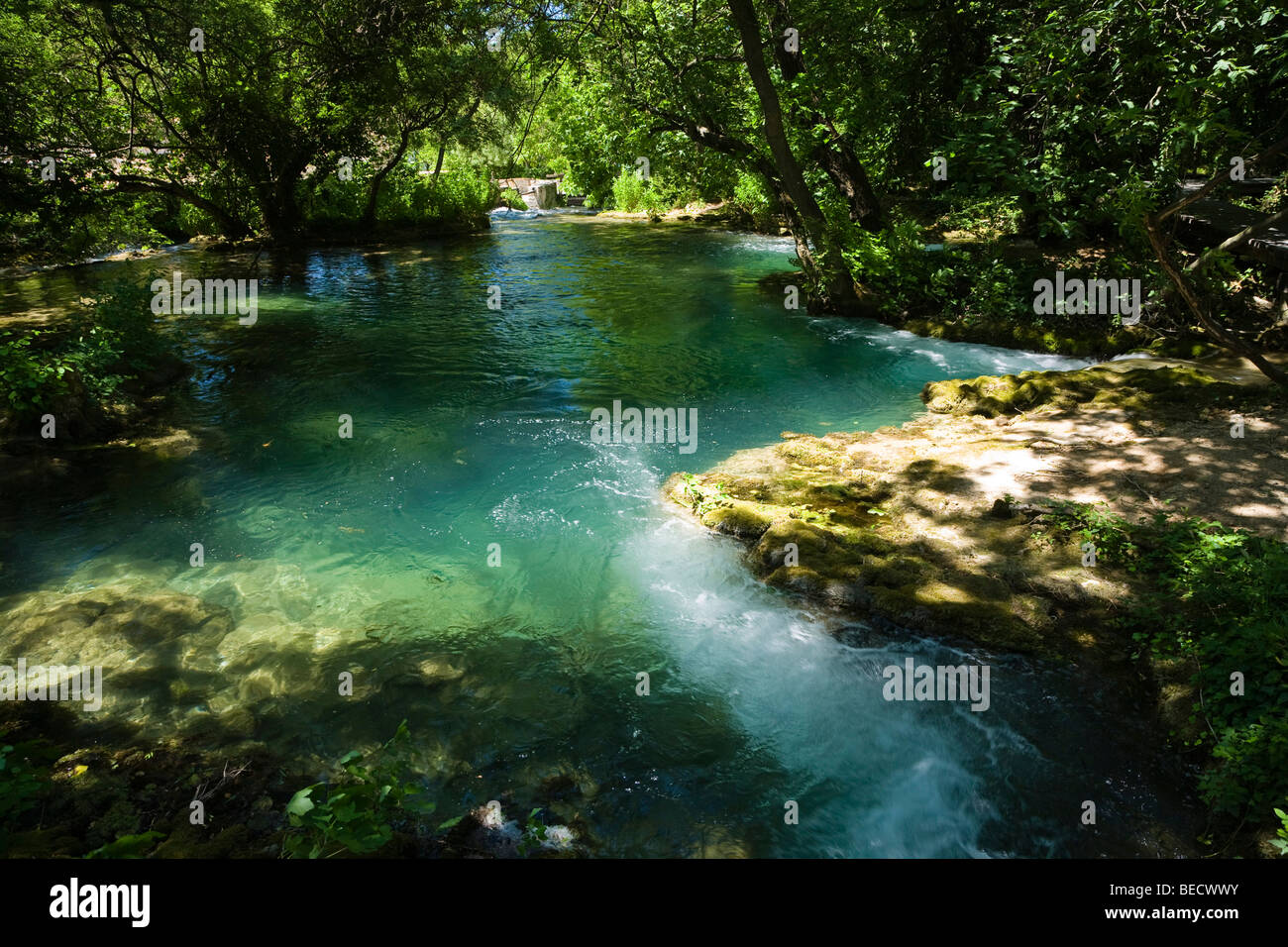 Calm waters, Krka National Park, Dalmatia, Croatia, Europe Stock Photo