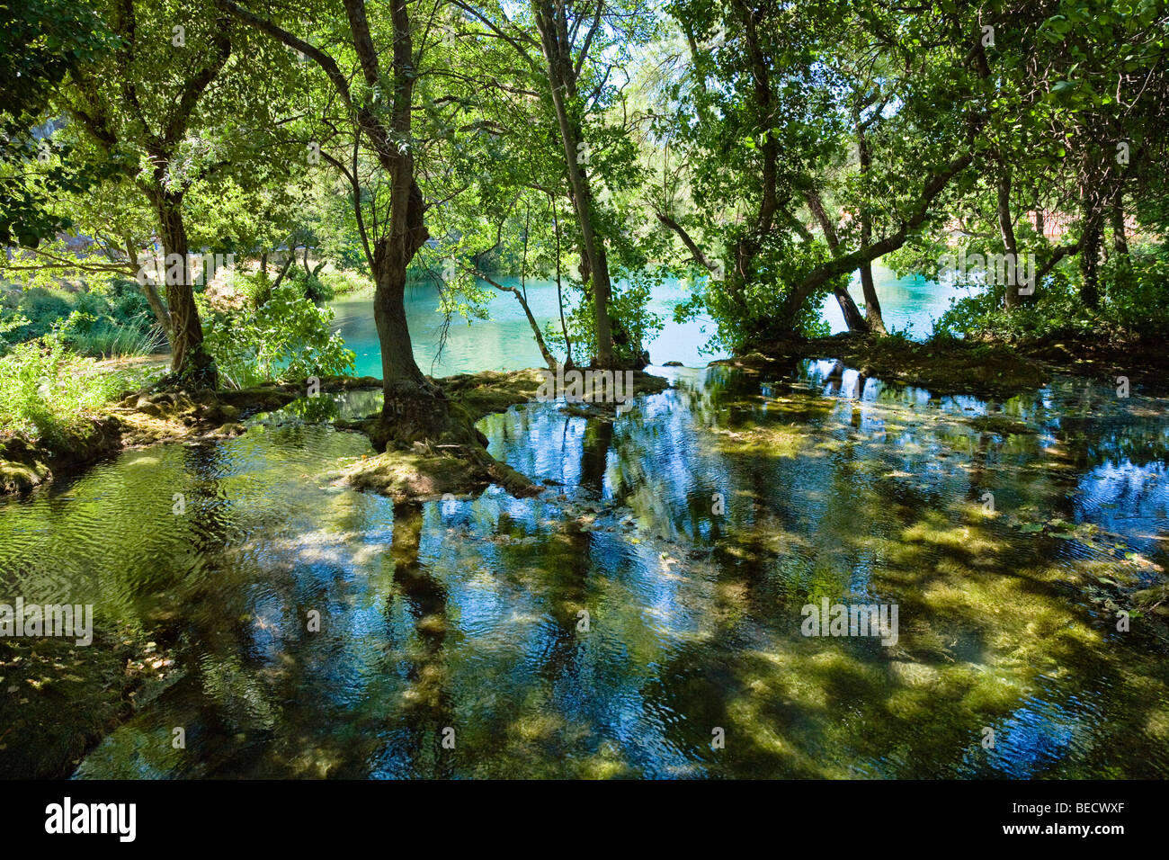 Calm waters, Krka National Park, Dalmatia, Croatia, Europe Stock Photo