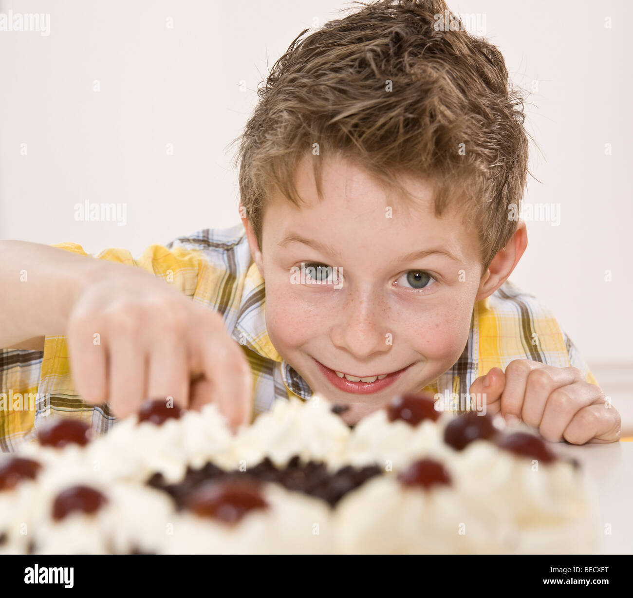 Secretively Boy eating a piece of Black Forest Cake secretively Stock Photo - Alamy