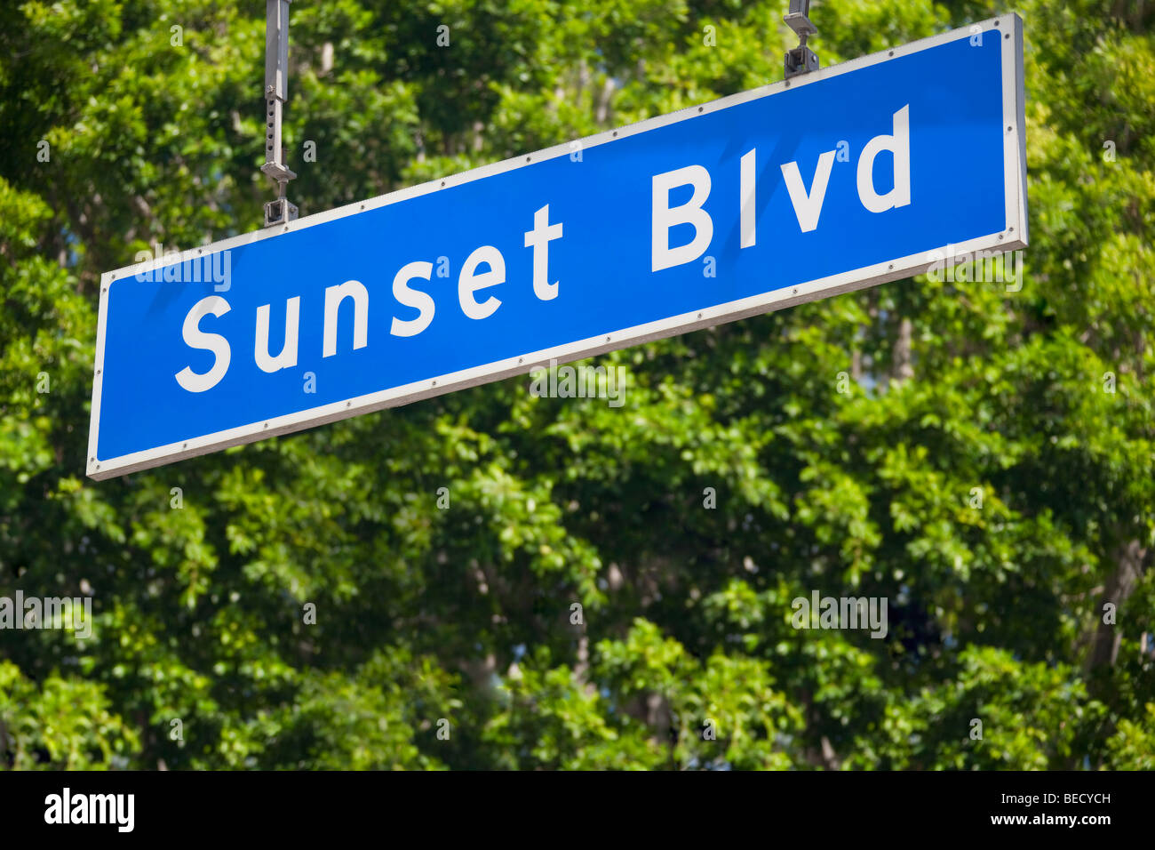 Low angle view of a street name sign, Sunset Boulevard, Los Angeles County, California, USA Stock Photo