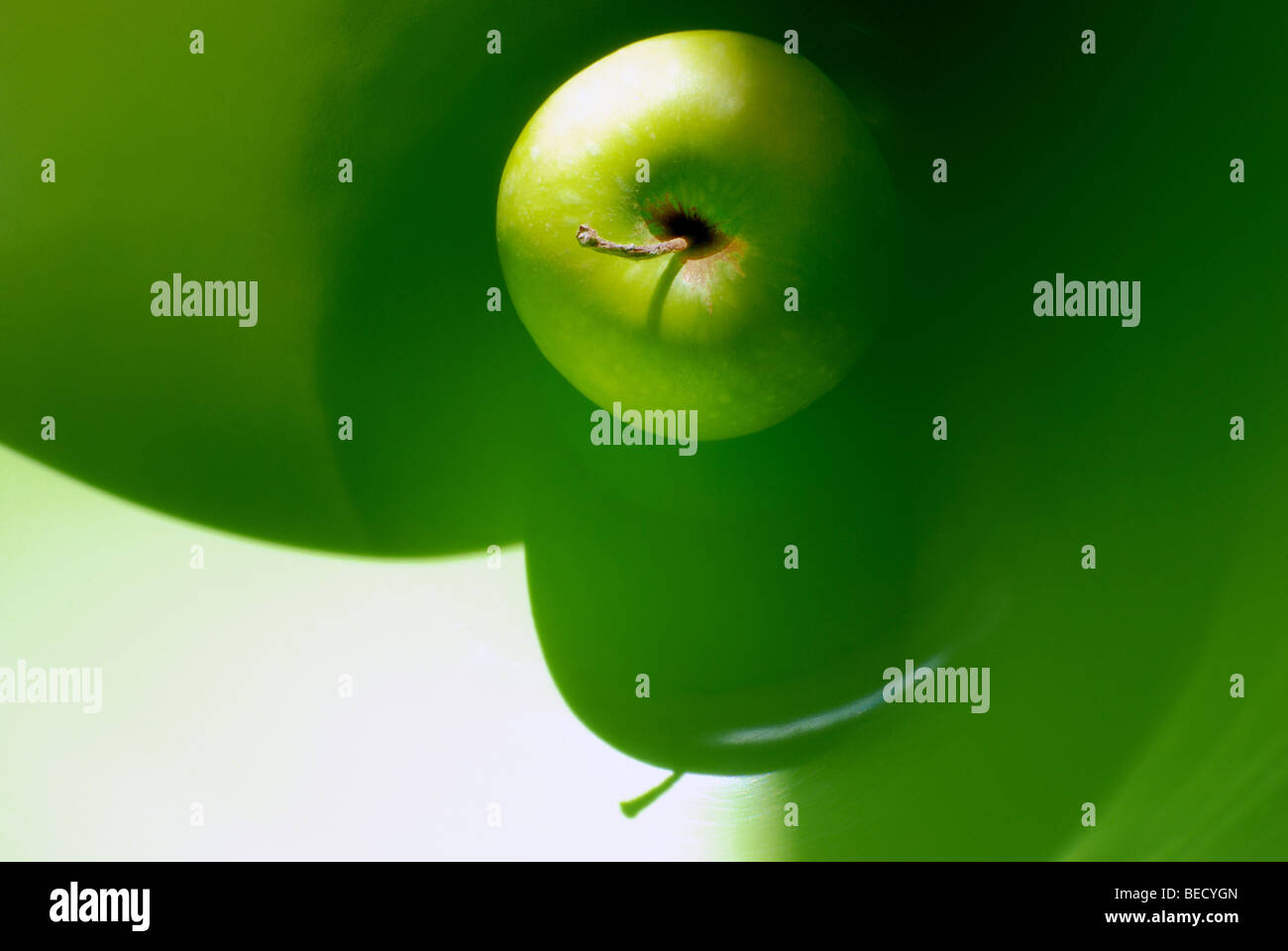 GREEN APPLE IN A GREEN PLASTIC BOWL BACK LIT WITH SHARP GREEN SHADOW STILL LIFE COLOR NOBODY Stock Photo