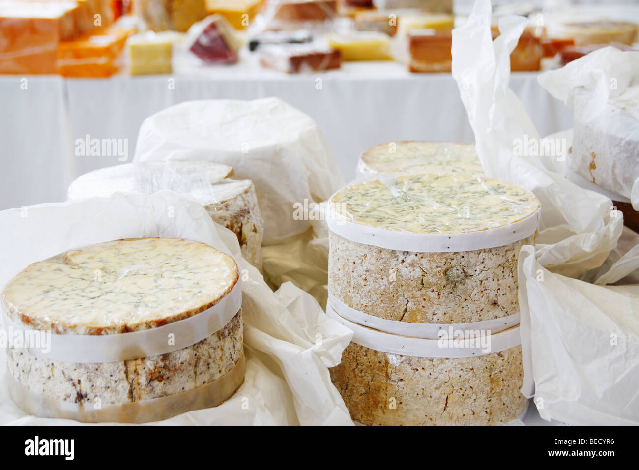 Cheeses on display at the World cheese awards 2009 in Las Palmas, Gran Canaria Stock Photo