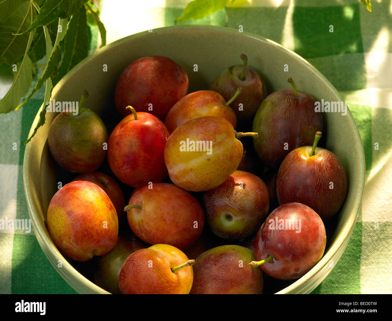 English plum hires stock photography and images Alamy
