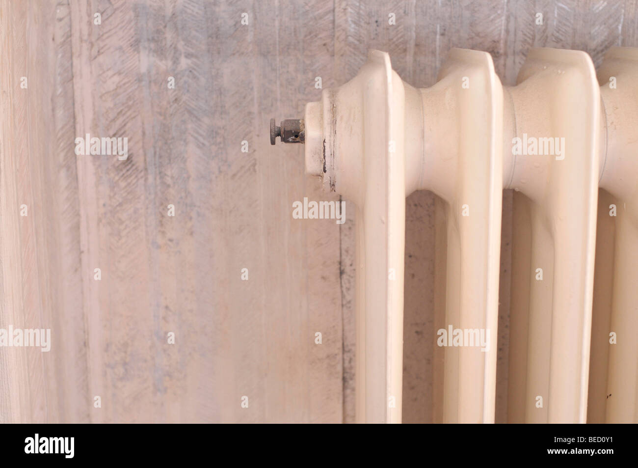 Mould on a wall and on wallpaper behind a radiator Stock Photo Alamy