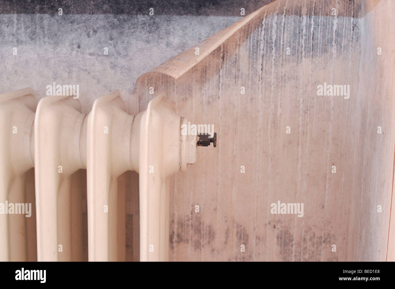 Mould on a wall and on wallpaper behind a radiator Stock Photo Alamy