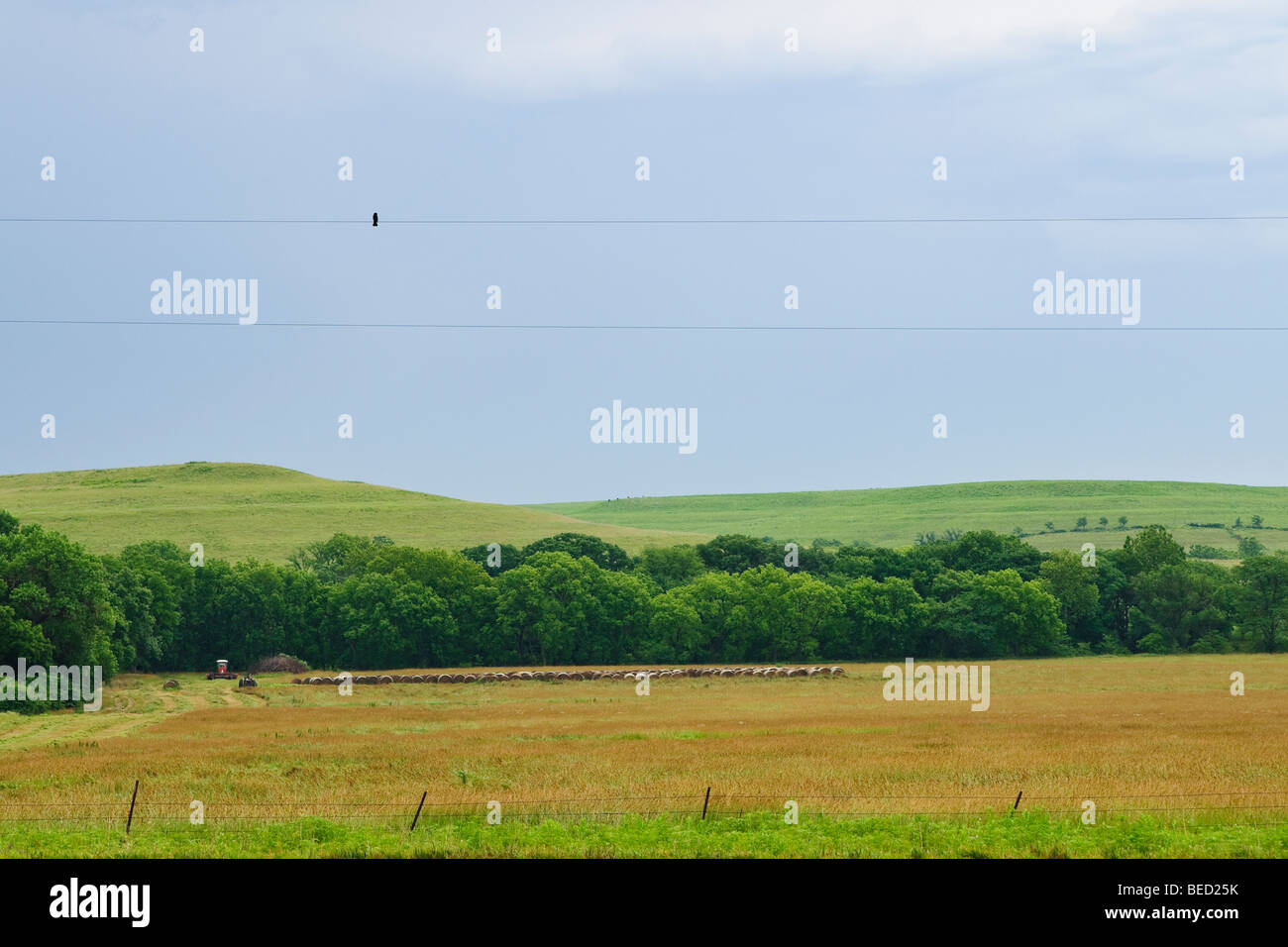 On a rainy day in central Kansas, hay bailing stops Stock Photo Alamy