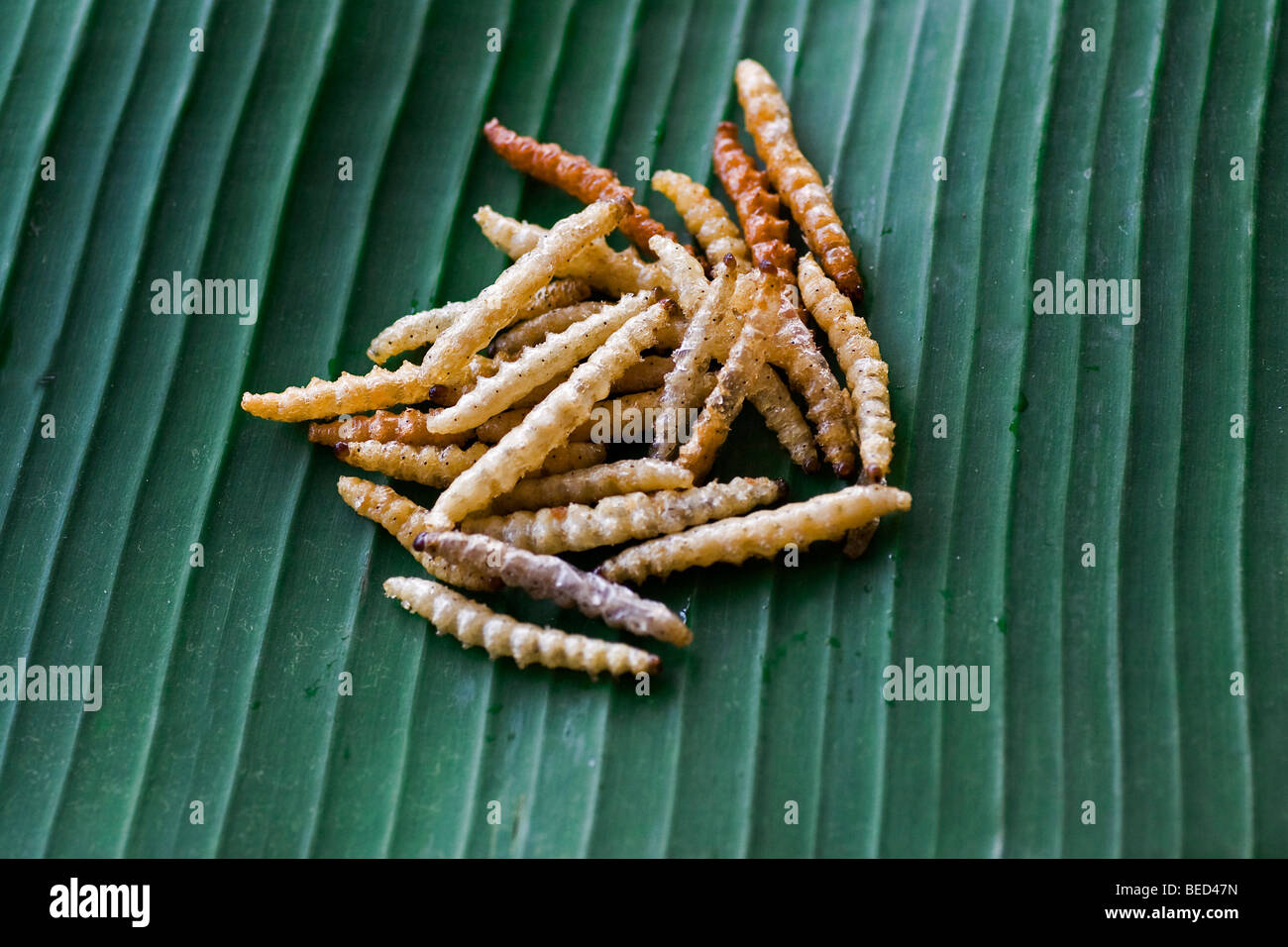 Deep-fried grubs on a banana leaf offered for eating Stock Photo