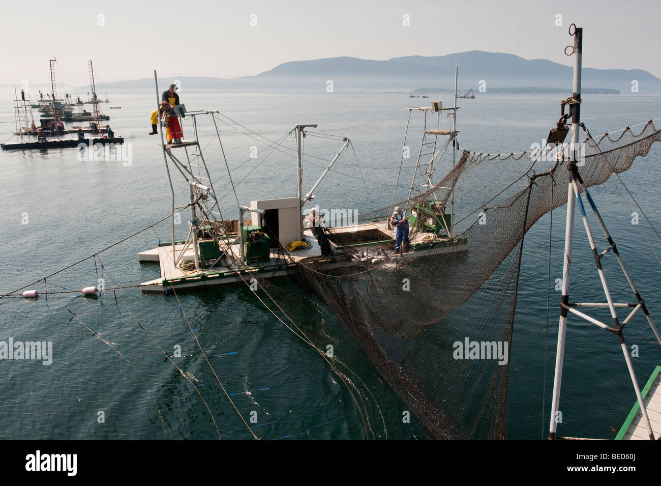 salmon fishing is an old Indian method for capturing salmon as