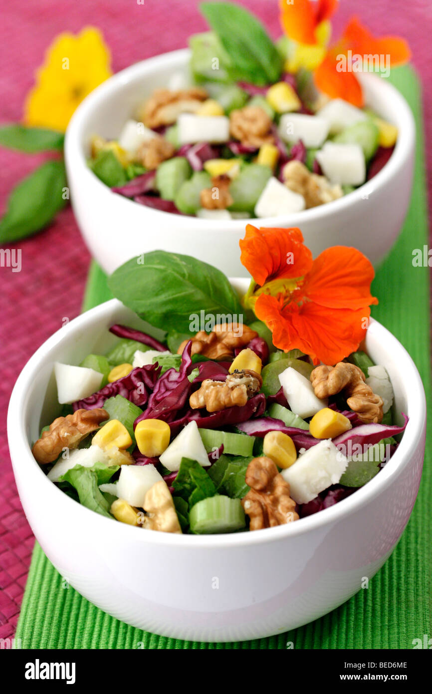 Red cabbage salad with tofu and walnuts. Recipe available. Stock Photo