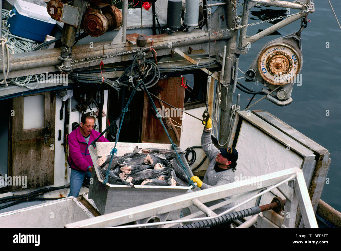 Port Hardy, BC, Vancouver Island, British Columbia, Canada, Commercial