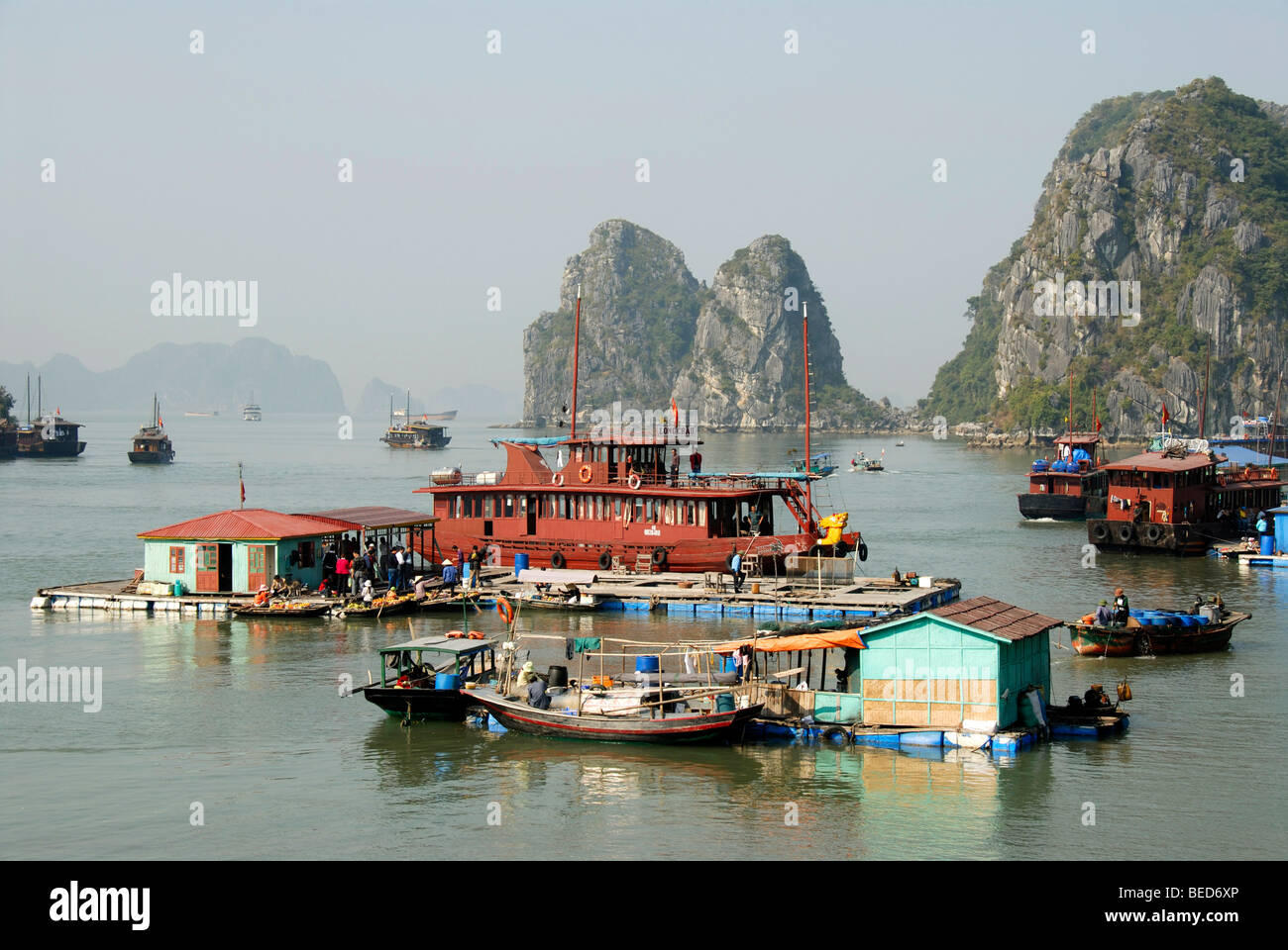 Floating village with houseboats in front of a rocky island, Ha Long