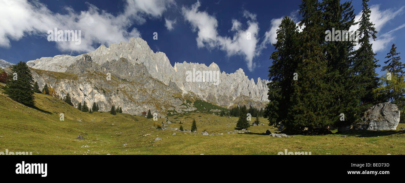 Mountain landscape with rock formations and coniferous trees, Alps ...