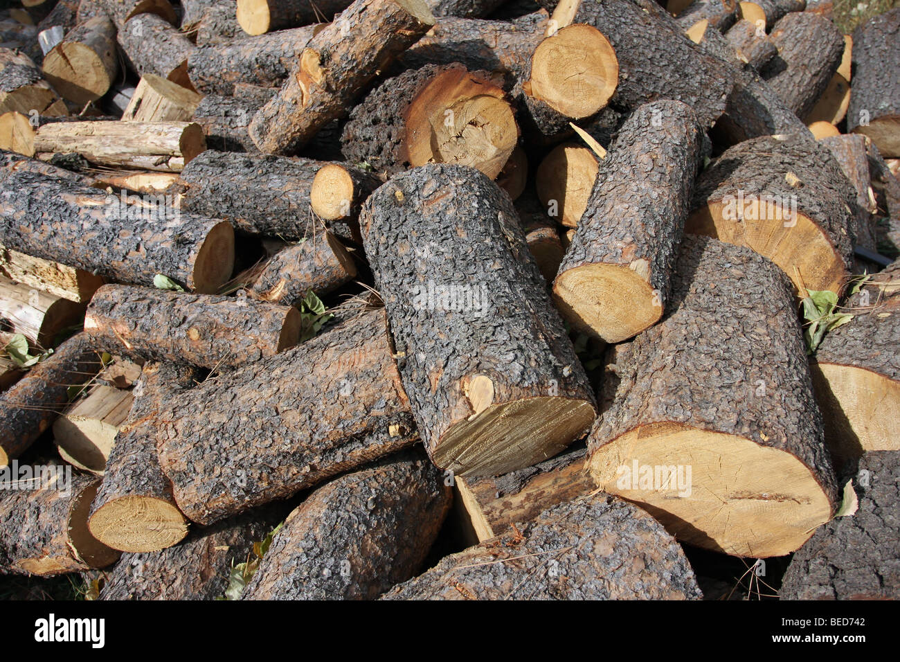Fire Wood Pile Of Round Lengths Stock Photo Alamy