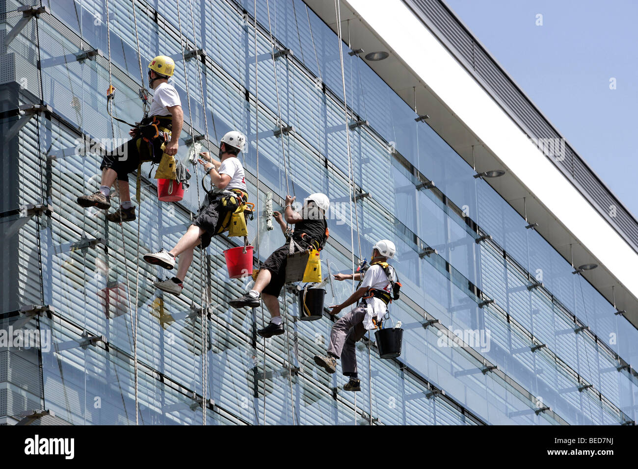 Window cleaners, roped up and secured like mountaineers, cleaning glass facade of an office building, in Luxembourg, Europe Stock Photo