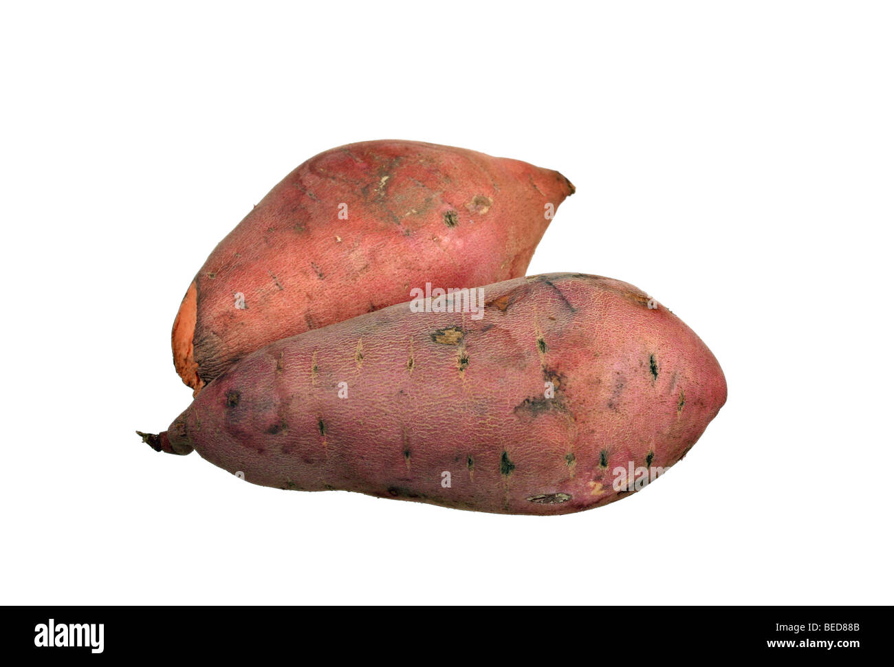 Two red yams isolated on white background Stock Photo Alamy