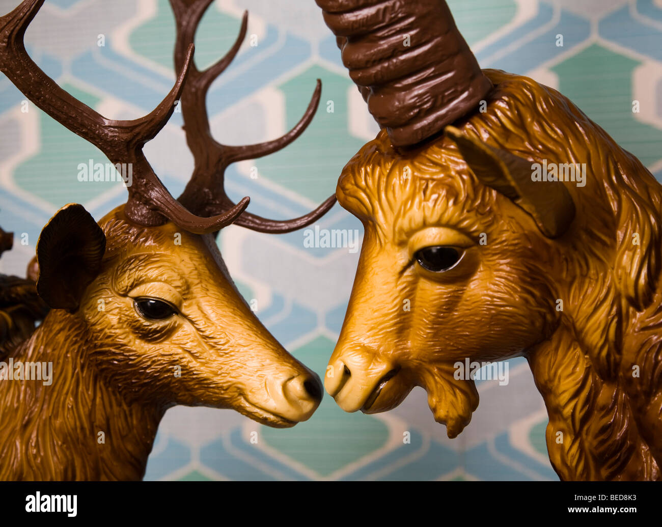 Head of a deer and the head of an ibex, plastic, gazing longingly into each others eyes Stock Photo