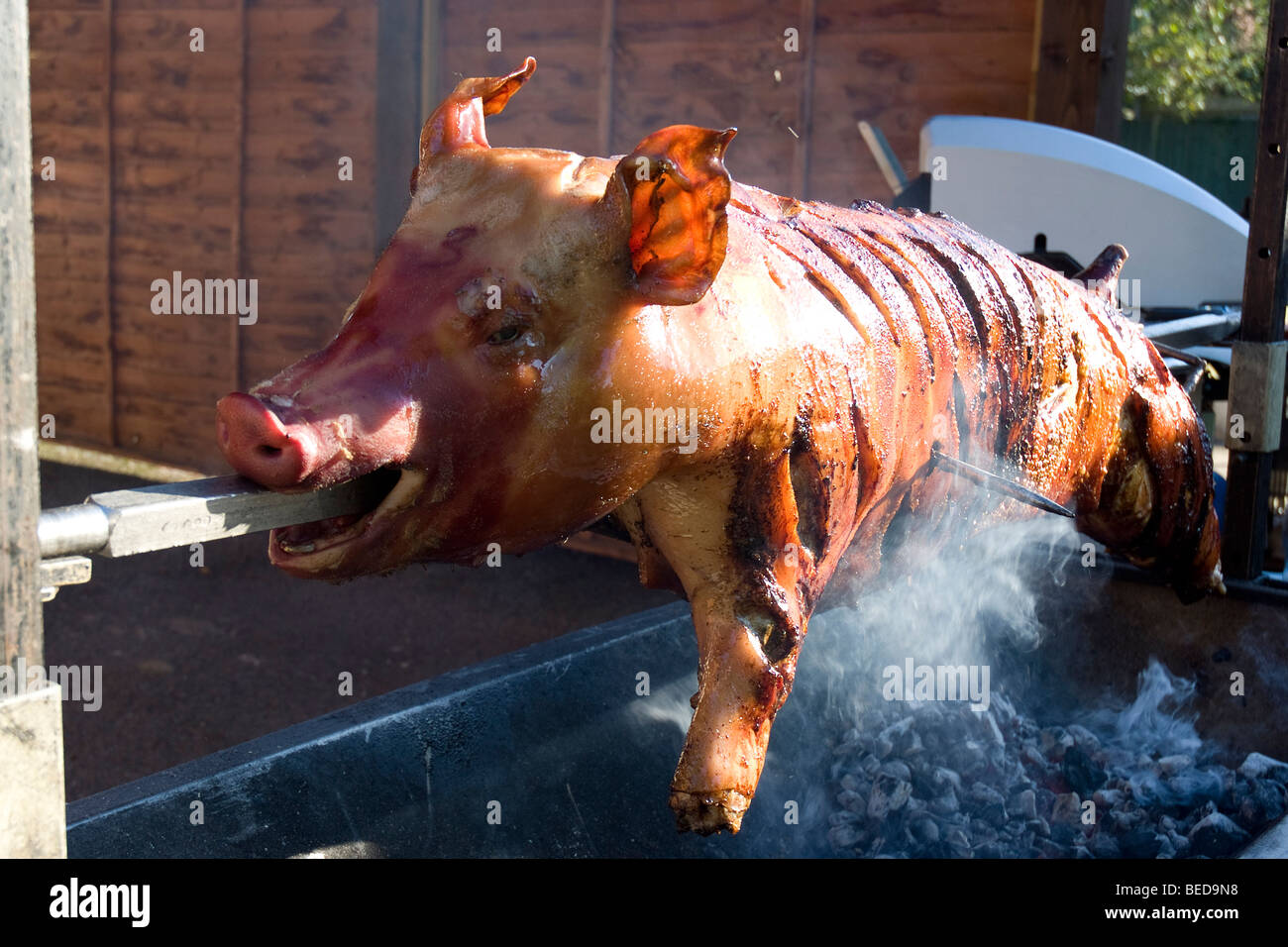 Spit Roast Stock Photo