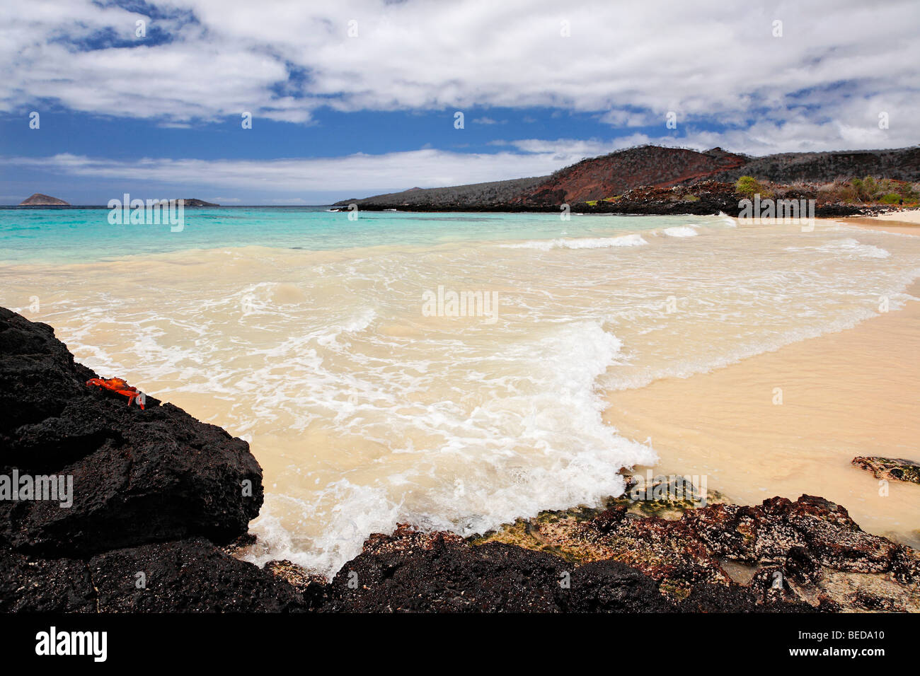 Beach with small waves, Red Rock Crab (Grapsus grapsus) and an island on the horizon, Punta Cormorant, Floreana Island, Galapag Stock Photo