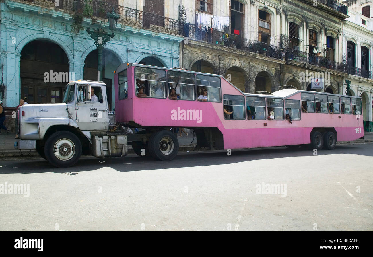 Crowded bus, Camelo Rosa, pink camel, typical public transport of Cuba, Havana, Cuba, Central America, Caribbean Stock Photo