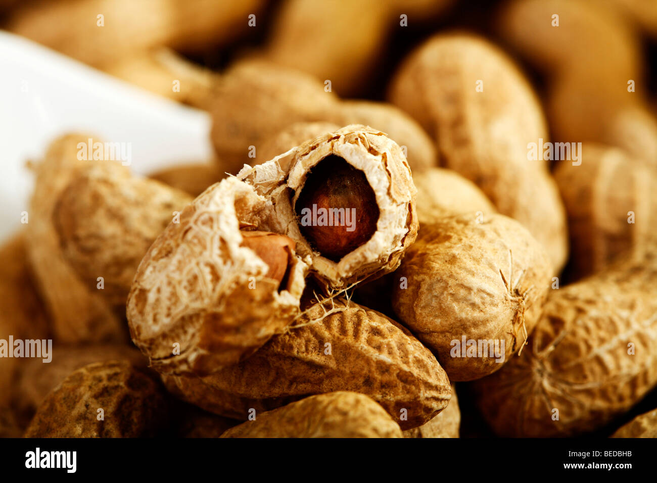 Halved peanut Stock Photo
