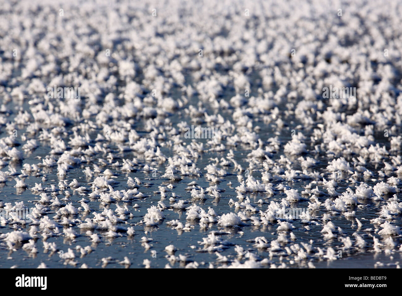 Snow crystals on a frozen lake Stock Photo