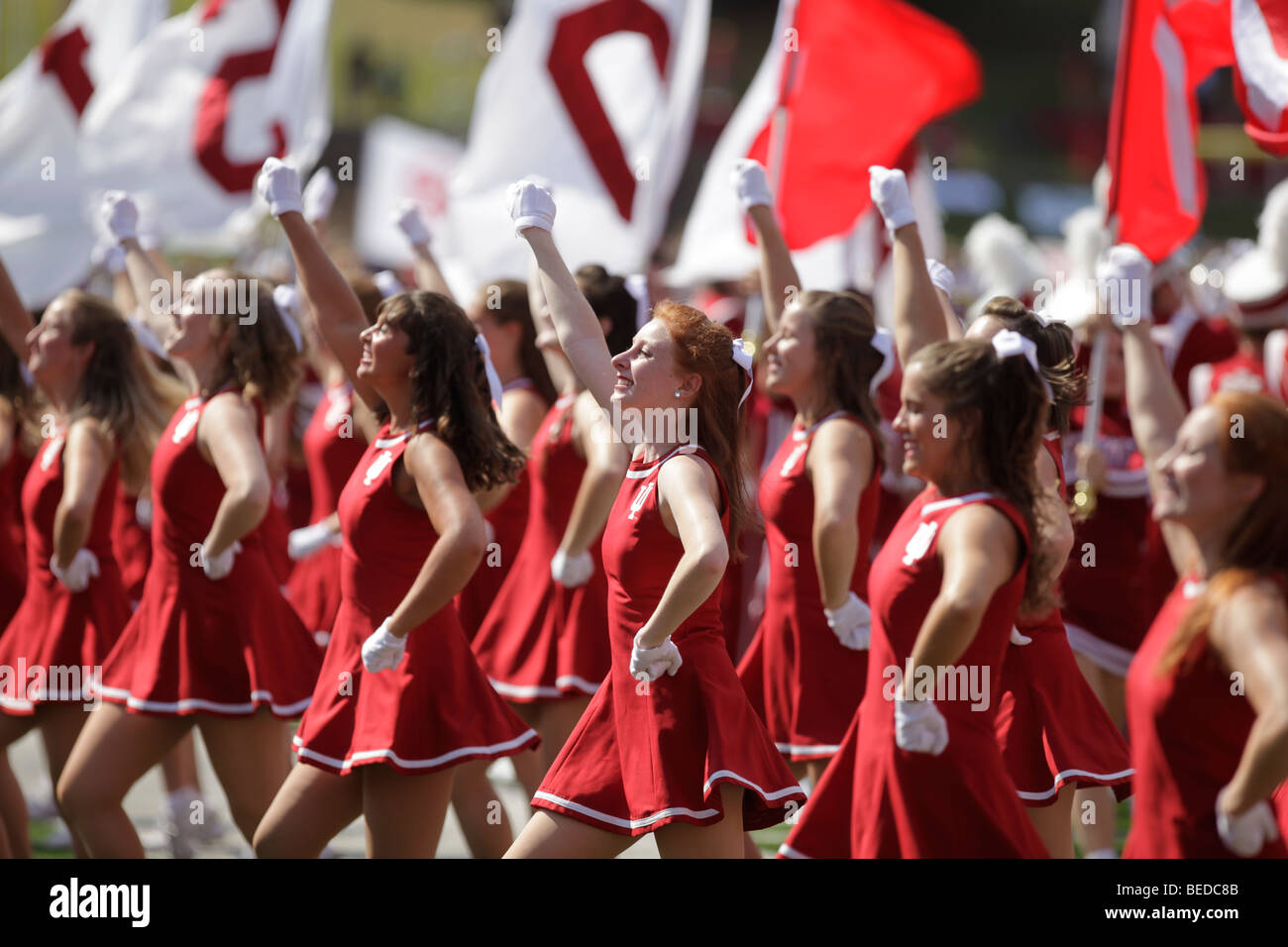 Red steppers at an Indiana University football game. Stock Photo