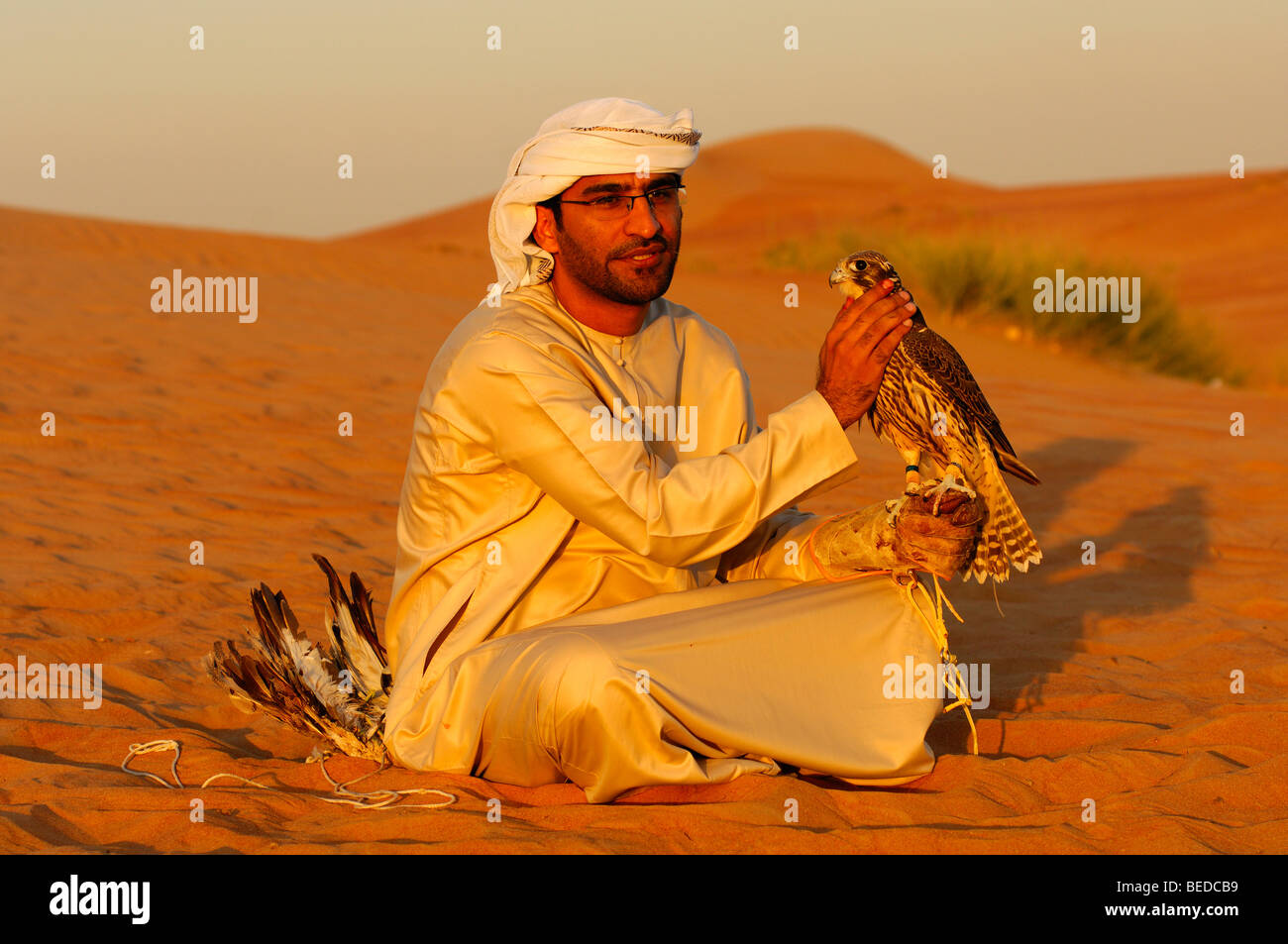 Arab falconer sitting in the desert sand with his falcon, Dubai, United Arab Emirates, Middle East Stock Photo