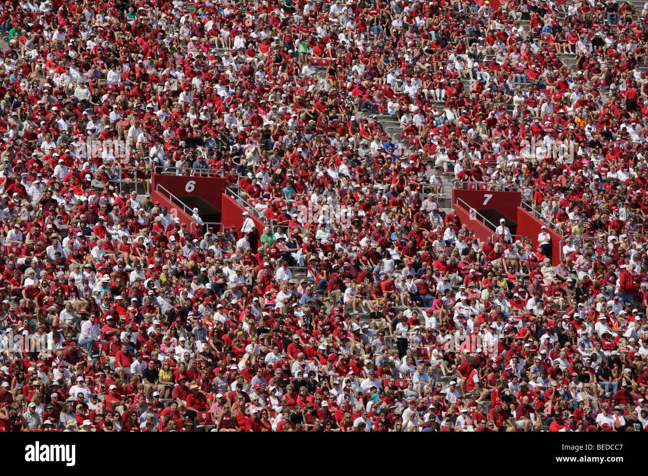 Crowd at an Indiana University football game. Stock Photo