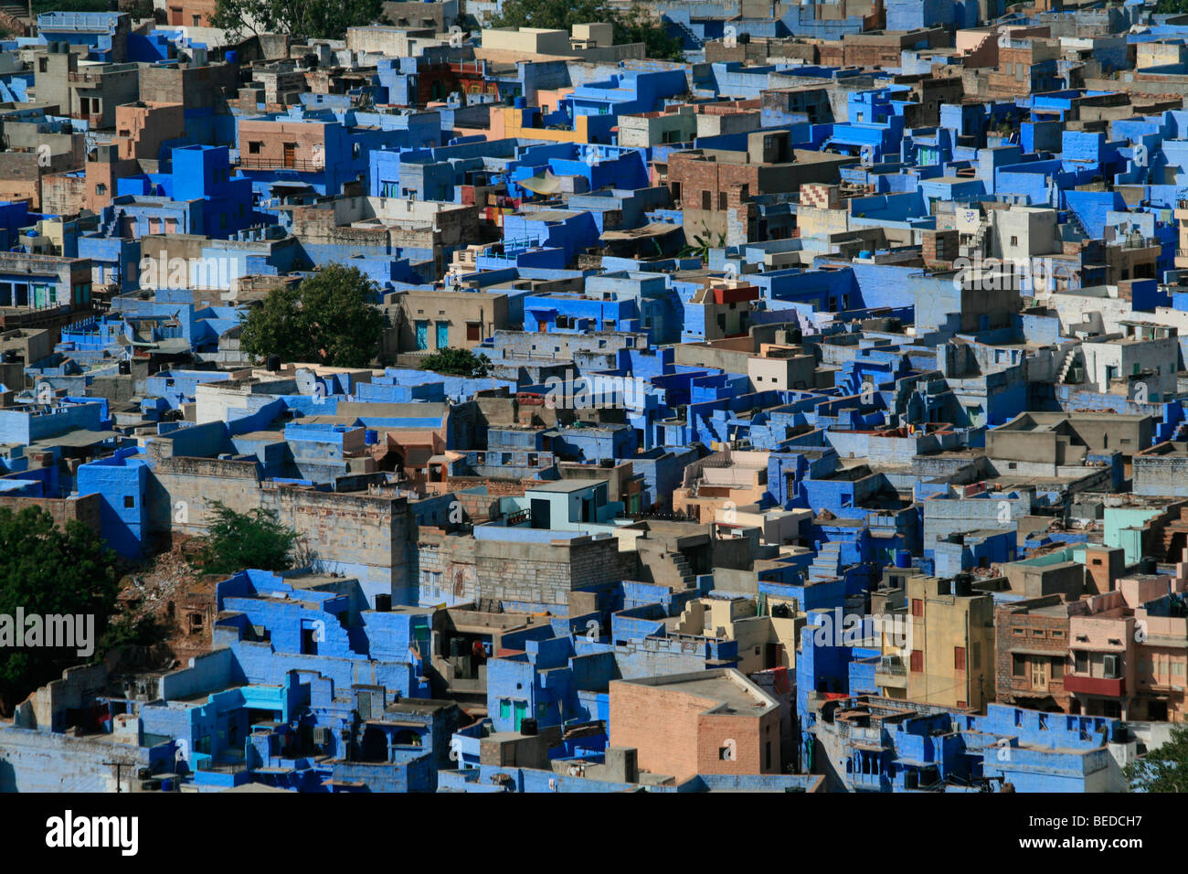 Blue city, Jodhpur, India, South Asia Stock Photo